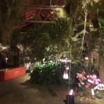 Orchideen Hoeve by Candlelight 2016