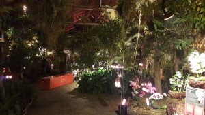 Orchideen Hoeve by Candlelight 2016